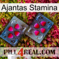 Ajantas Stamina 15